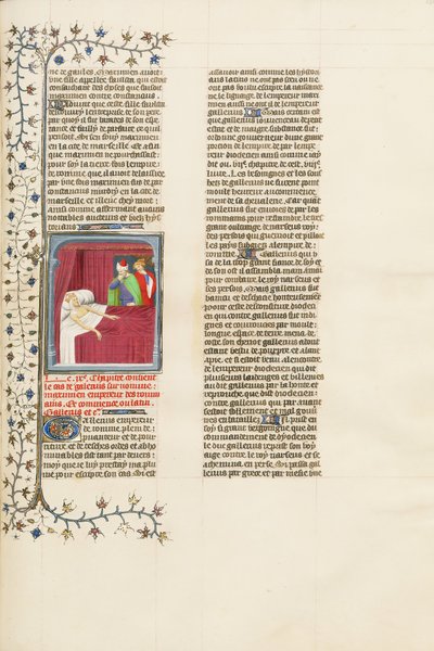 Die Verwesung des Fleisches des sterbenden Kaisers Galerius von Unbekannt Unbekannt